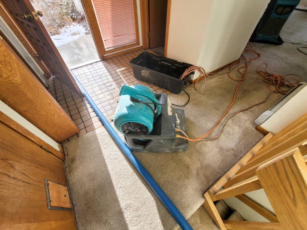 Best Commercial water damage restoration  in Pineville, KY