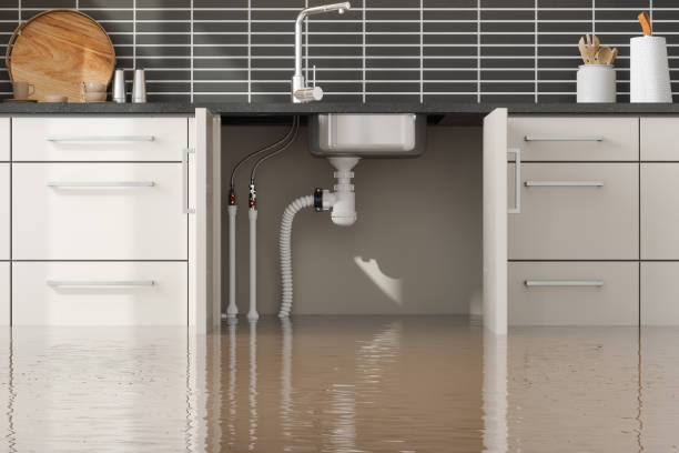 Best Residential water damage restoration  in Pineville, KY