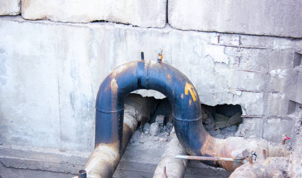 Best Carpet water damage restoration  in Pineville, KY