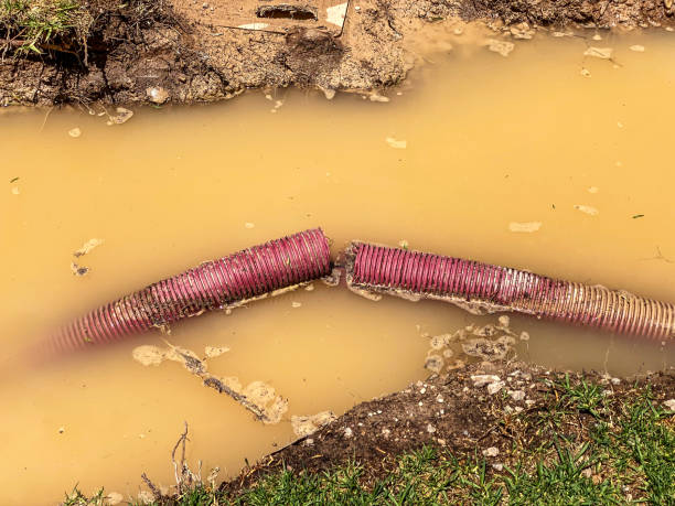 Best Flood damage cleanup  in Pineville, KY